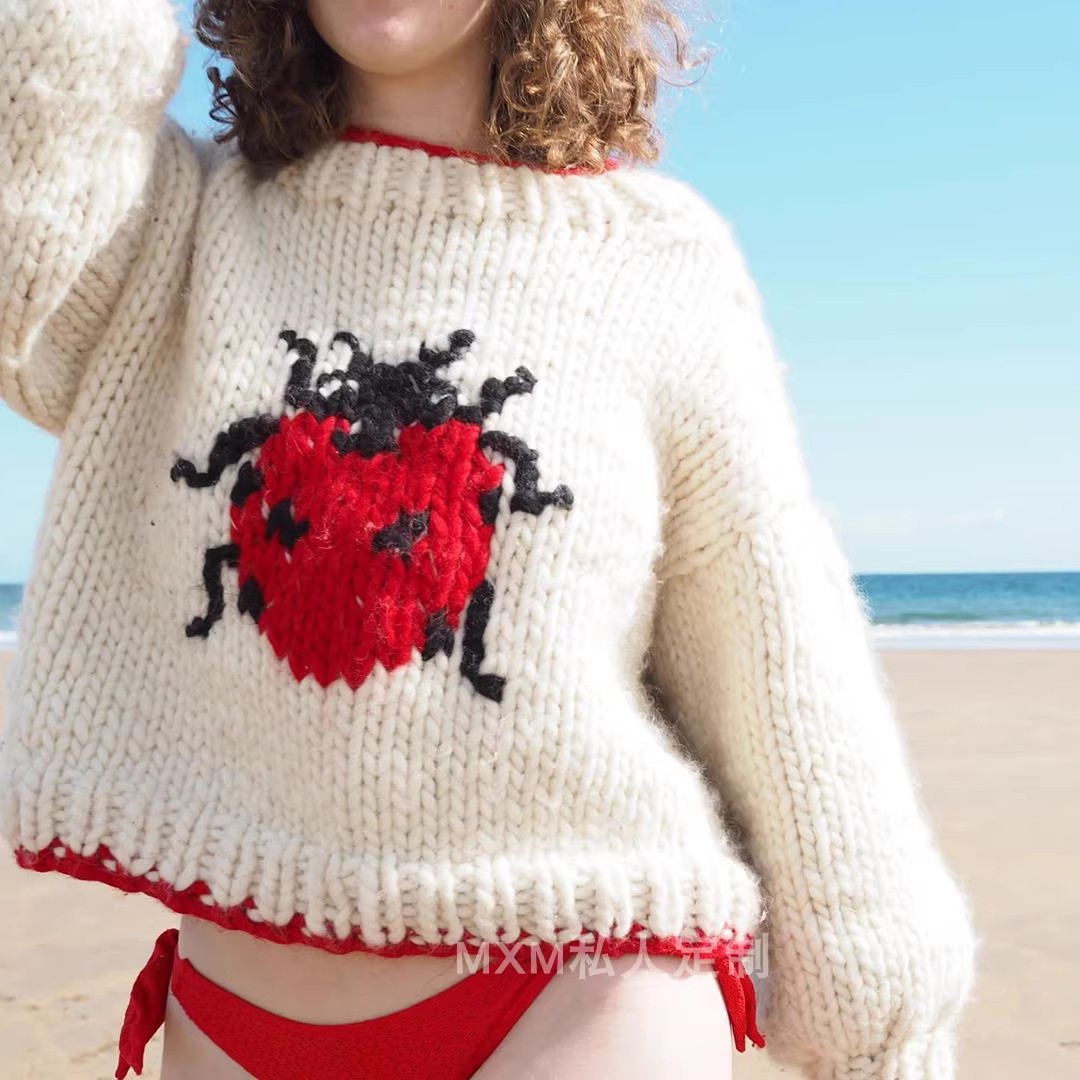 Handgestrickter Pullover aus r – Embroidery Lady Bug Bewertung und Preis