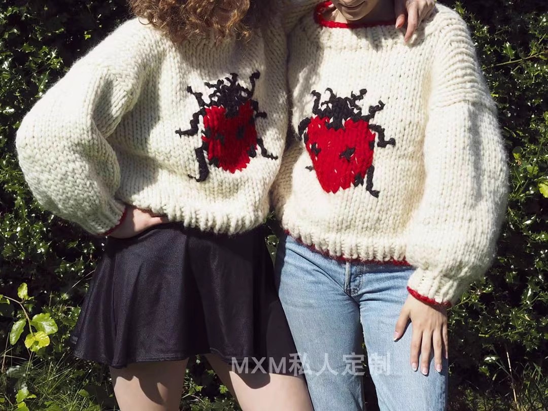 Handgestrickter Pullover aus r – Embroidery Lady Bug Bewertung und Preis